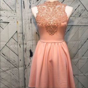 •Dainty Hooligan• Pink Lace Skater Dress